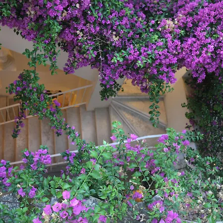 Hotel Relais Corte Palmieri & Il Chiostro - Residenza D'epoca Gallipoli