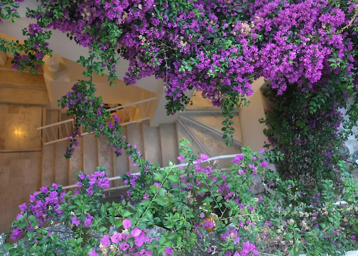 Hotel Relais Corte Palmieri & Il Chiostro - Residenza D'epoca Gallipoli